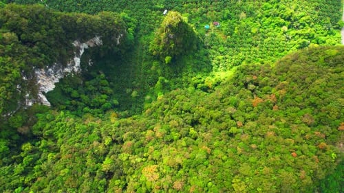 Trees tunnel road and limestone hills