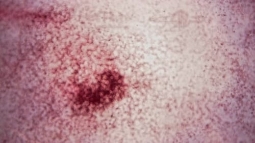 Abstract Grunge Red Fluid Spreading Reveal Background