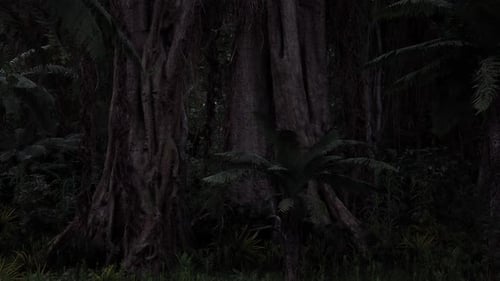 Giant Trees Rise Above Dense Jungle Foliage in Tropical Rainforest