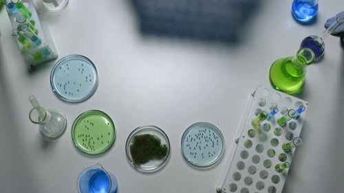 Overhead Shot of Scientific Lab Experiment