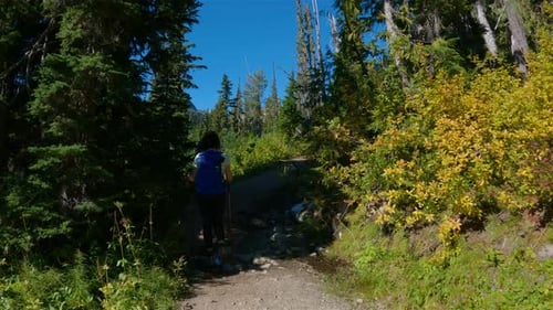 Adventurous People Hiking in Canadian Mountain Landscape