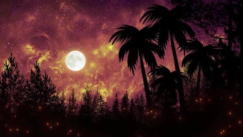 Hermoso cielo naranja sobre palmeras y bosques