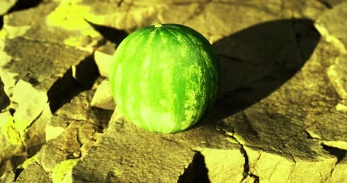 Bright Green Watermelon Resting on Textured Rock Under Warm Sunlight