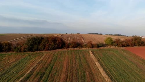 Flug über Felder im Licht des Sonnenuntergangs.