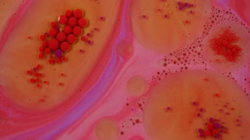 Color Dance A Whirlwind of Oil and Multicolored Bubbles