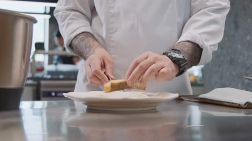 Chef plating a fancy meal in kitchen