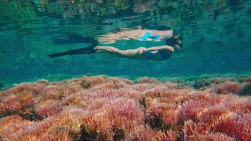 Set of Three Footages Real Speed and Slow Motion with Woman Swimming Underwater in the Tropical Sea