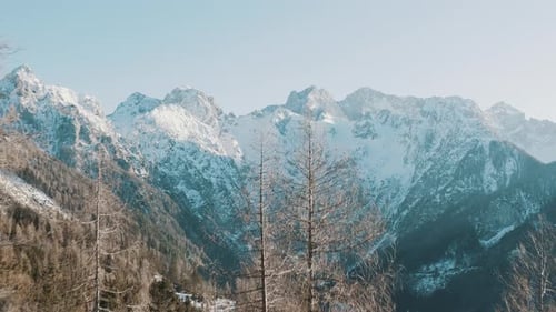 Beautiful aerial shot of a forest and mountains covered with snow. Winter fairytale.