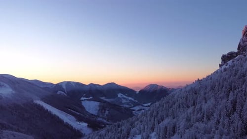 Winter Forest on the Edge of a Rocky Mountain at Dusk