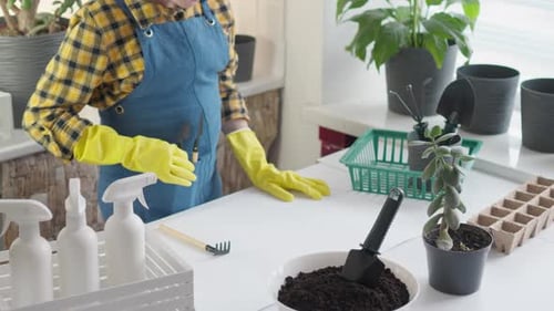 Preparing Gardening Tools for Indoor Planting at Home