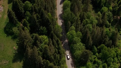 Car driving on a winding road through green forests in the mountains, tracking aerial shot