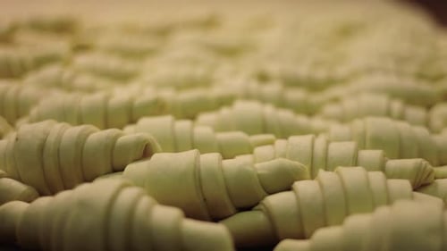 Rows of Uncooked Croissants Before Baking
