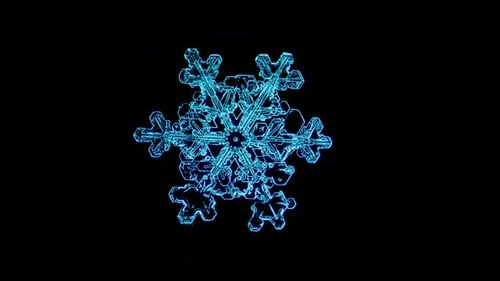 Snowflake under microscope