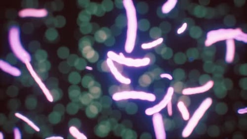 Abstract Glowing Microorganisms Animation for Scientific Backgrounds