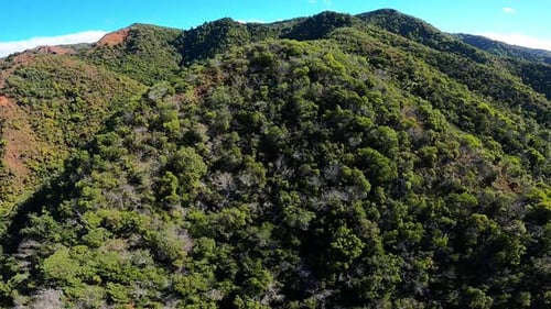 Aerial View of Rolling Hills and Green Landscape in Kauai Hawaii