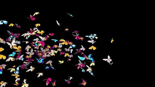 Animated Swarm of Colorful Butterflies Flying