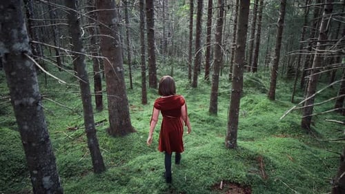 Woman Walks Through Serene Forest in Red Dress