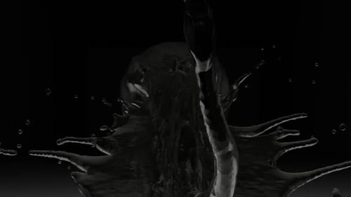 Éclaboussure dynamique d'une sphère noire dans un liquide