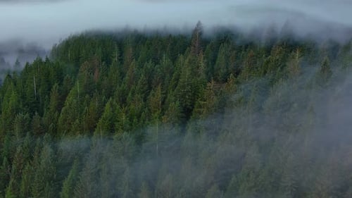 Valley By Mountains and Green Trees Covered in Fog Canadian Landscape Nature Aerial