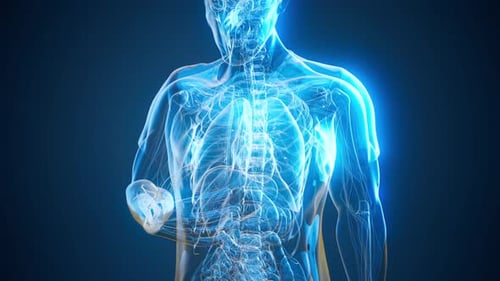 Glowing Human Anatomy Scan: Futuristic Medical Visualization