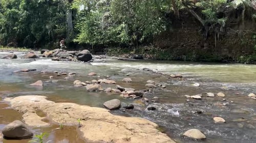video of people catching fish with nets in the river