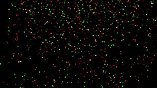 Falling Red Green Gold Confetti Celebration Overlay