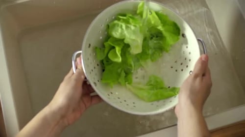 Washing Vegetables