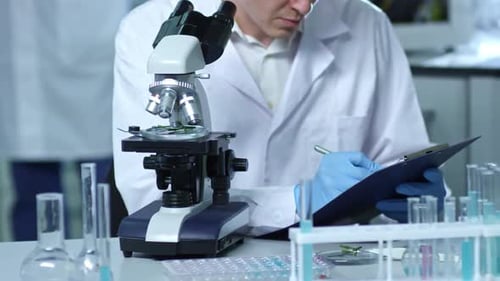 Medical researcher working in the laboratory