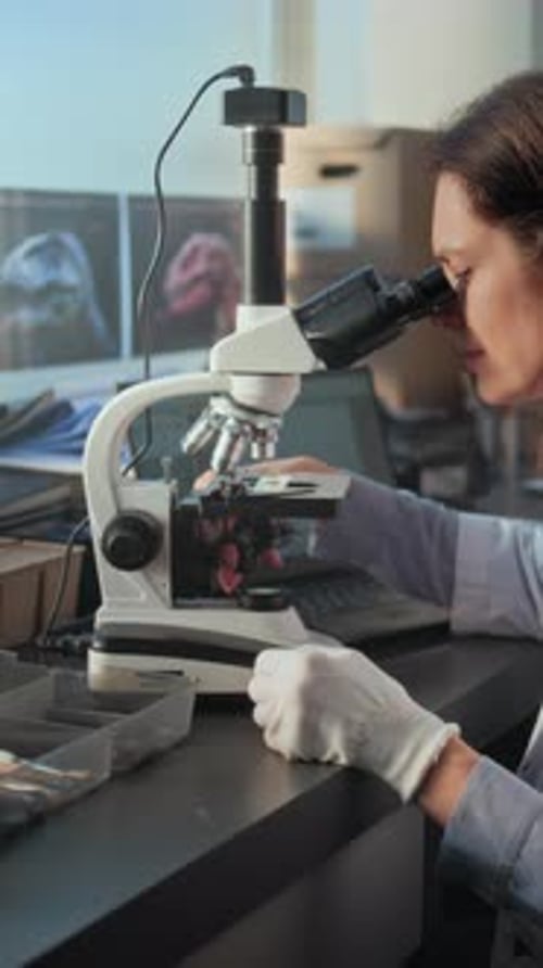 Female Microbiologist Analyzes Fossils Under Microscope in Equipped Archaeological Laboratory