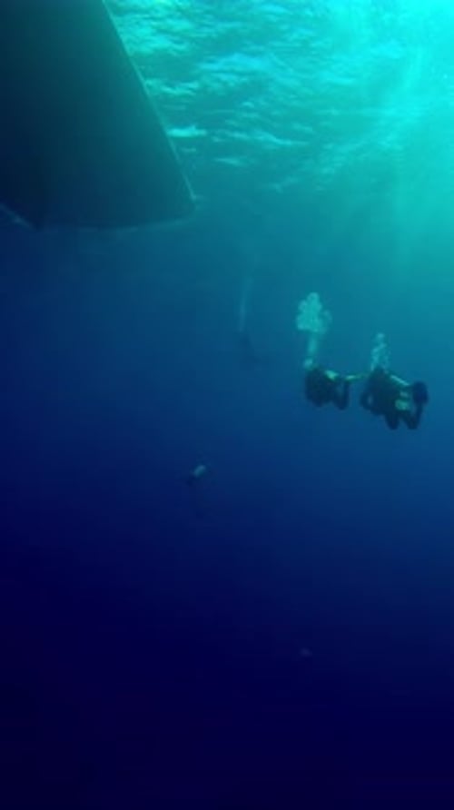 Taucher schwimmen bei sonnigem Tag in blauen Tiefen auf das Tauchboot zu