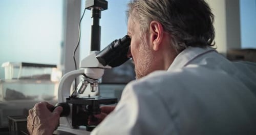 Microbiólogo maduro analisa amostra fóssil sob microscópio e olha para a tela do laptop