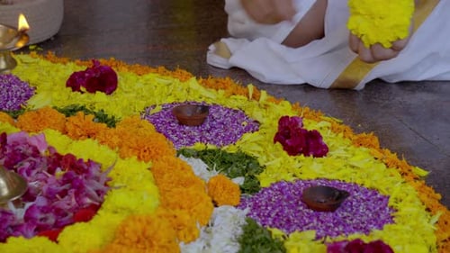 Child Arranges Colorful Diwali Flower Rangoli