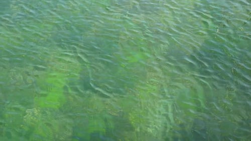 Ondulações suaves no fundo verde do mar em câmera lenta