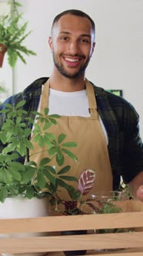 Portrait of Young African American Man Florist in Apron Holding Wooden Box Witch Potted Plant in