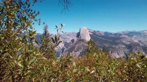 Static shot of Half Dome and Yosemite Valley from Glacier Point with foliage in the foreground. 4K a