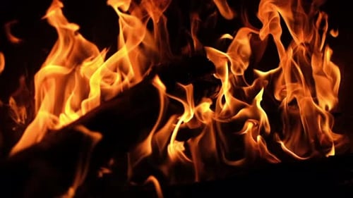 Close-up shot of firewood burning in the fireplace.4K.