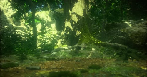 Sunlight Filtering Through a Lush Forest Canopy in a Vibrant Natural Setting