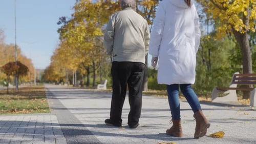 Elderly Man with Nurse in Autumn Park Back View of Compassionate Care