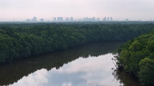 Aerial View of Sungai Pulai Mangroves and Johor Bahru
