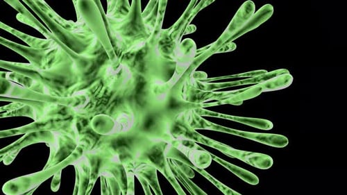 Viruses under microscope.Human immune system virus moving across screen.