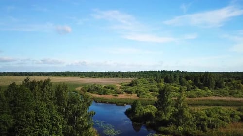 Nature Of Dobeevskoye Lake 01