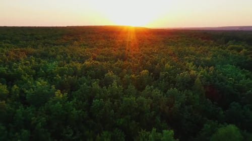 Cinematic Aerial Flight Over Lush Tropical Mountain Ridges and Valleys