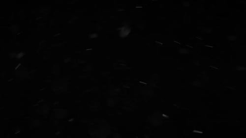 Windy Particles