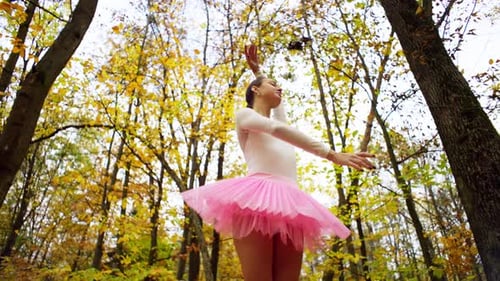 Ballerina Dances Gracefully in Autumn Forest
