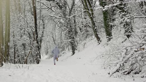 Figure Moves Briskly Through Winter Landscape Individual Advances Rapidly Over Snowy Forest Trail