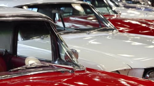 Classic Cars Gleaming in a Showroom
