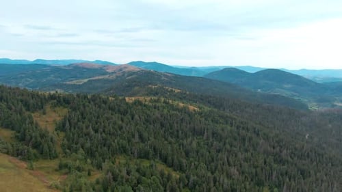 Beautiful Green Carpathian Mountains Landscape with Drone Flying Over Hills Evergreen Forest Growing