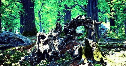 Vibrant Forest Landscape Showcasing Twisted Tree Roots and Lush Greenery