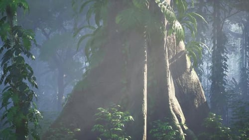Majestic Tree in Forest