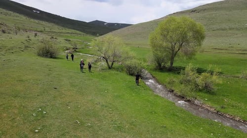 Hikers Walking Near River in Green Landscape